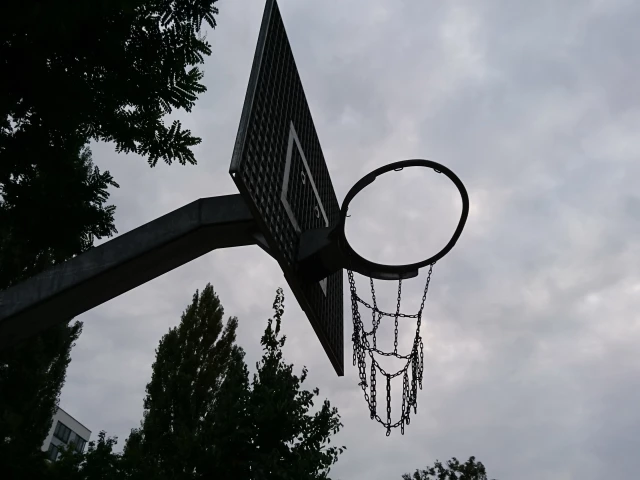 Basket in the street - North side