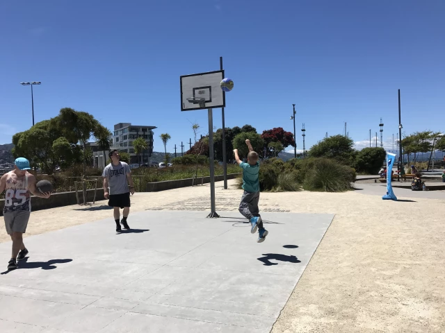 Profile of the basketball court Waitangi Park, Wellington, New Zealand