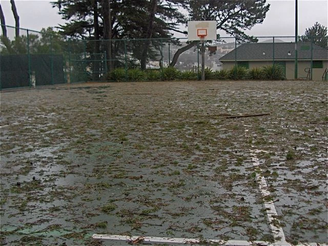 The court in Holly Park after a big storm in 2008.