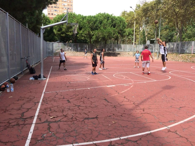 Profile of the basketball court Pista de la Mina, Barcelona, Spain
