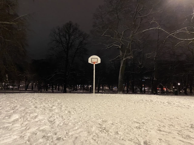 Humlegården Basketball Court