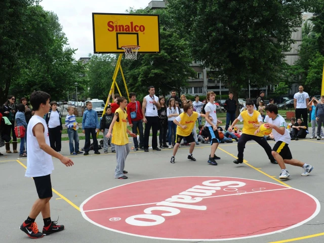 Profile of the basketball court OS Kralj Aleksandar I, Belgrade, Serbia