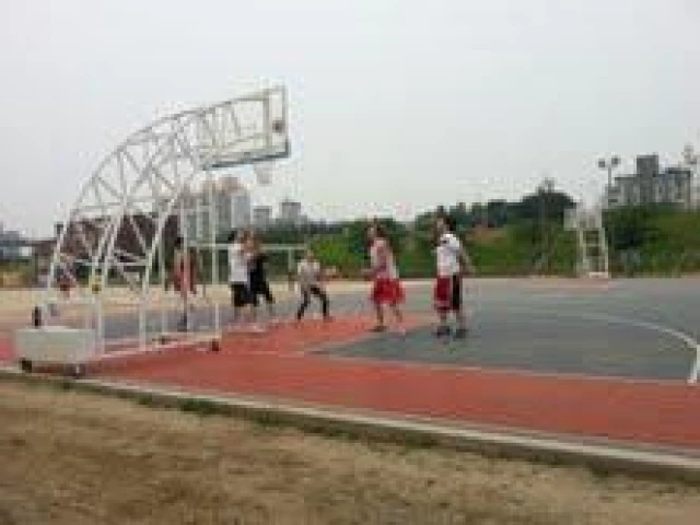 Profile of the basketball court Han River Park, Seoul, South Korea
