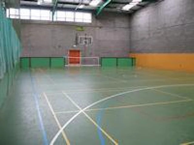 Profile of the basketball court Loughlinstown Leisure Centre, Dublin, Ireland