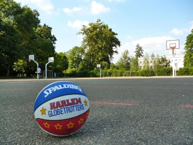 Profile of the basketball court Parc du Chateau, Buc, France