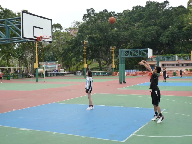 Profile of the basketball court Fa Hui Park Playground, Hong Kong, Hong Kong