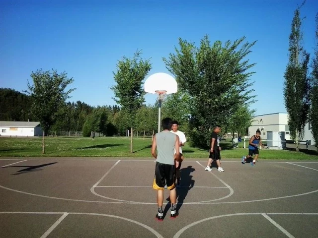 Profile of the basketball court Winterburn School, Edmonton, Canada