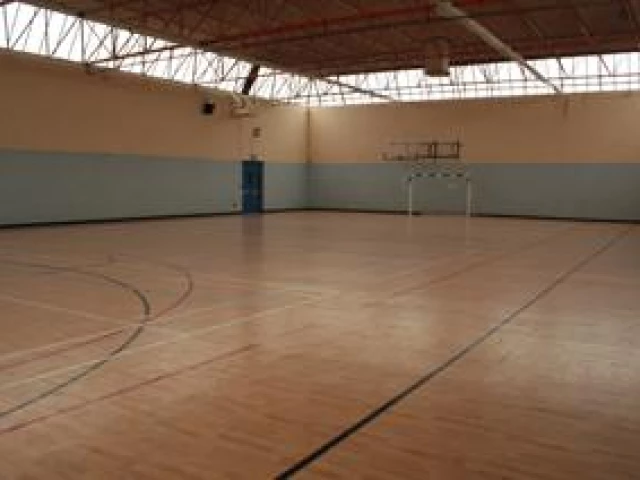 Profile of the basketball court Newpark Comprehensive School, Blackrock, Ireland