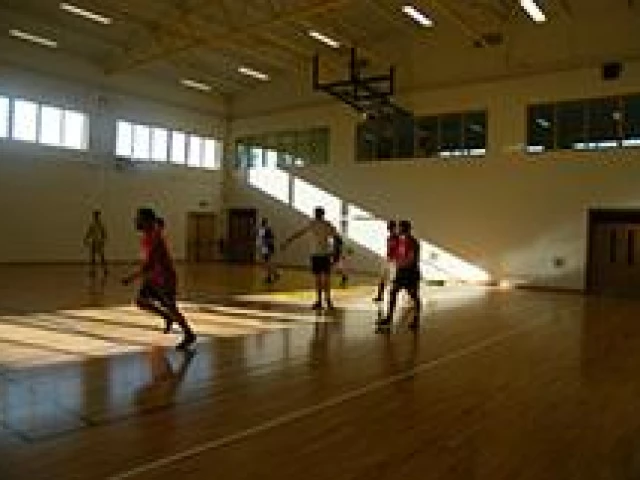 Profile of the basketball court Oatlands Gym, Dublin, Ireland