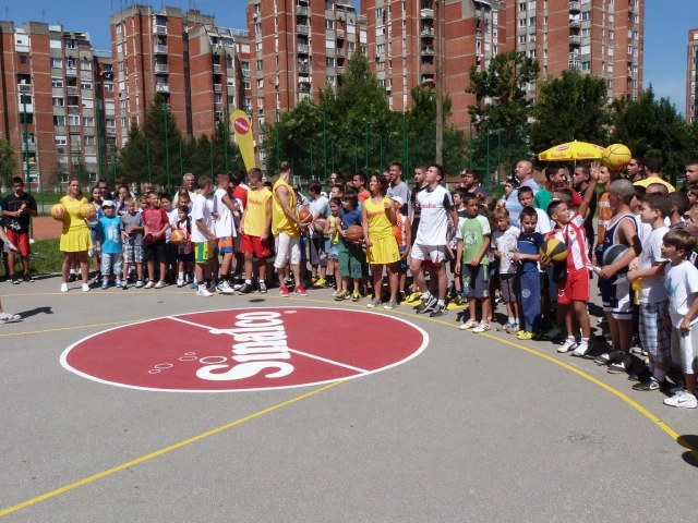 Profile of the basketball court OS Kadinjaca, Loznica, Serbia