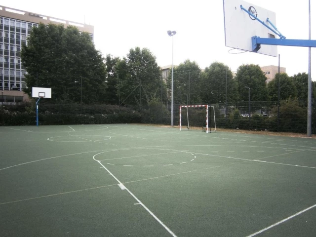 Profile of the basketball court Paris X, Nanterre, France
