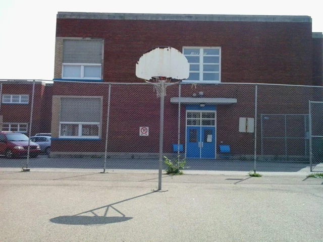 Profile of the basketball court McKernan School, Edmonton, Canada
