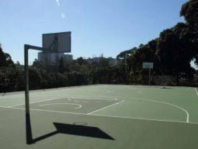 Profile of the basketball court Hogben Park, Kogarah, Australia