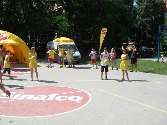 Profile of the basketball court Sinalco court, Novi Sad, Serbia
