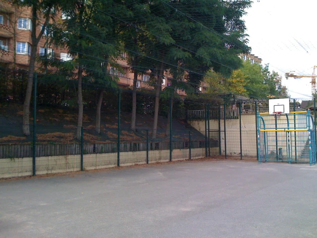 Profile of the basketball court La cage -Flachat, Asnières-sur-Seine, France