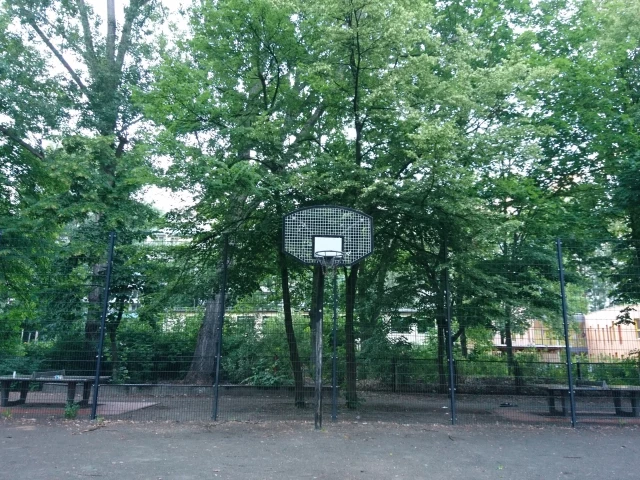 Basket - South side