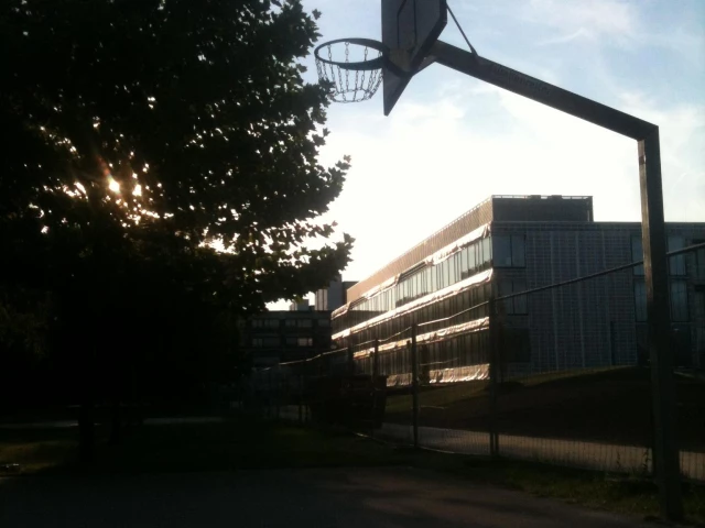 Profile of the basketball court TU Court, Garching, Germany