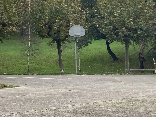 Profile of the basketball court Calle del Monte del Sueve, Oviedo, Spain