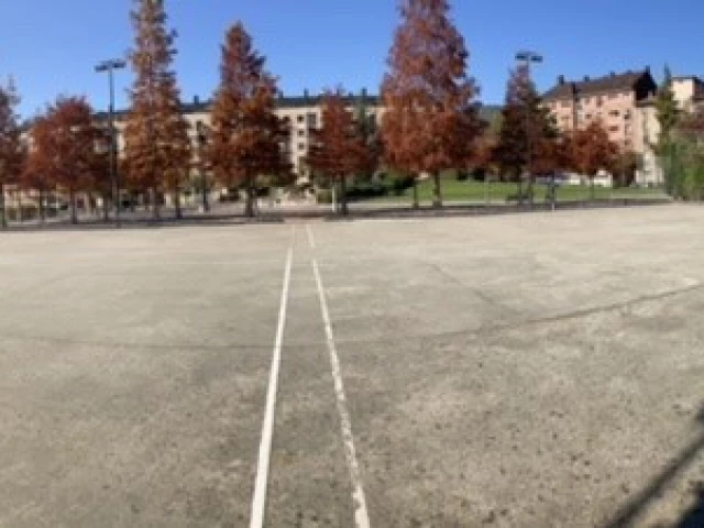 Profile of the basketball court Calle del Historiador Juan Uría, Oviedo, Spain