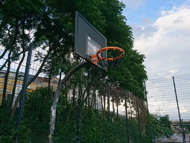 Basket - North side (thick hoop)