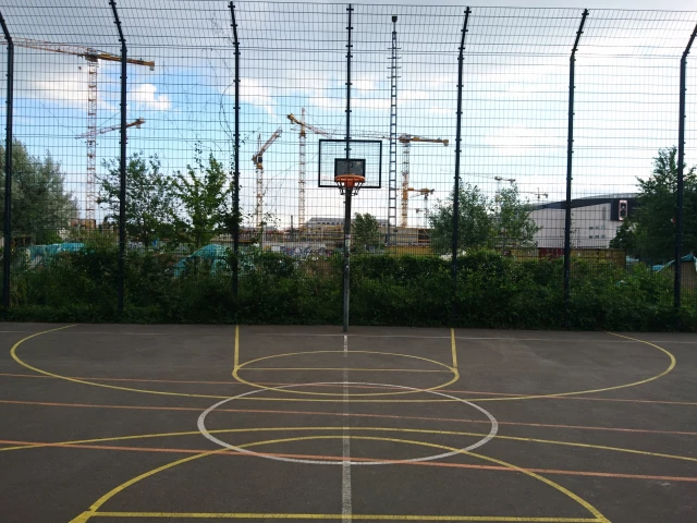 Basket - South side (thick hoop)