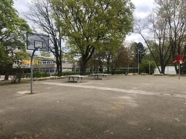 Profile of the basketball court Konrad Adenauer Gymnasium, Langenfeld, Germany