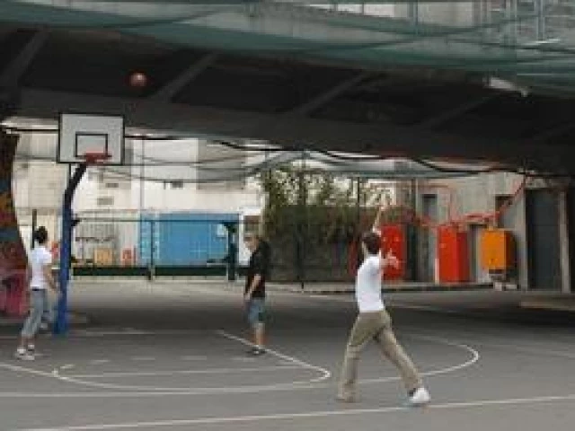 Profile of the basketball court Leonard de Vinci, Courbevoie, France