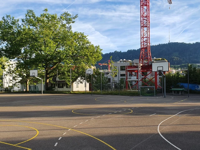 Profile of the basketball court Sportplatz Berneggweg / Schulhaus Rebhügel, Zurich, Switzerland
