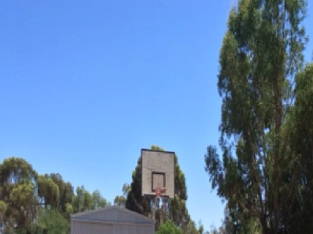 Single hoop next to small park.