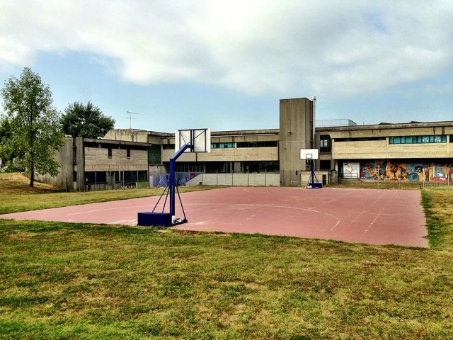 Basketball's Court