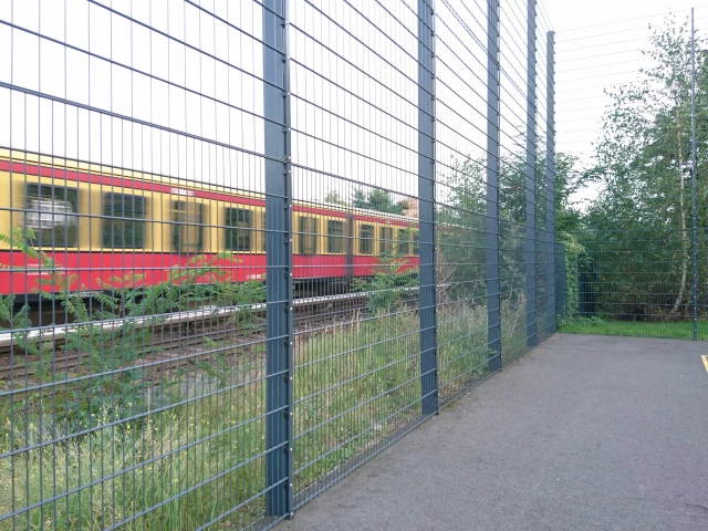 Next to the rails - S-Bahn S2/S25
