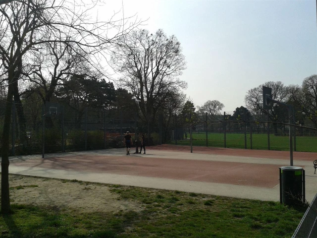 Profile of the basketball court Auer Welsbach Park, Vienna, Austria