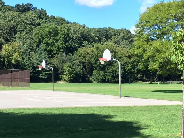 Profile of the basketball court Richmond Hills Park, Grand Rapids, MI, United States