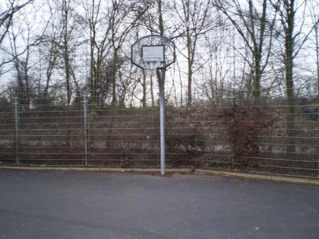 Profile of the basketball court Friedhofer, Mannheim, Germany
