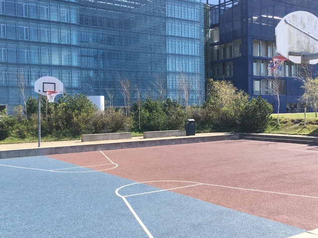 Profile of the basketball court DR Byen Basketcourt, Copenhagen, Denmark