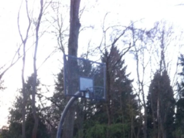 Profile of the basketball court Grugapark, Essen, Germany