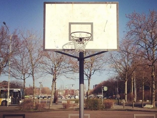 Profile of the basketball court Waterpoort, Antwerp, Belgium