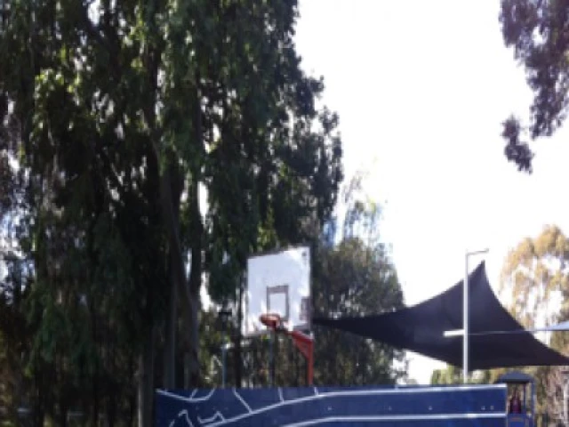 Profile of the basketball court McNeilly Park Half Court Marrickville, Marrickville, Australia
