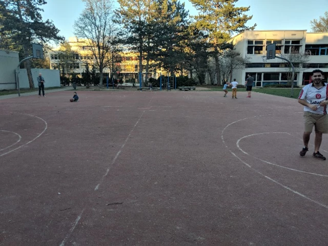 Profile of the basketball court Konrad-Adenauer-Gymnasium, Bonn, Germany
