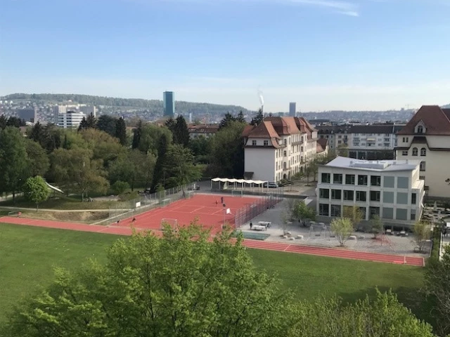 Profile of the basketball court Sihlfeld, Zurich, Switzerland