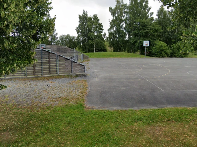 Profile of the basketball court Borgen skole, Asker, Norway