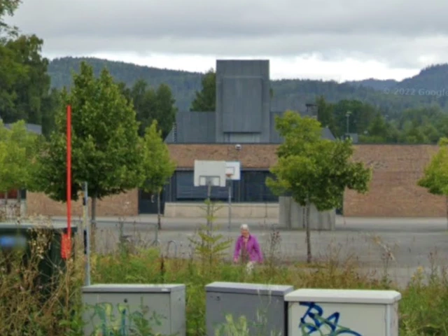 Profile of the basketball court Borgen skole 2, Asker, Norway