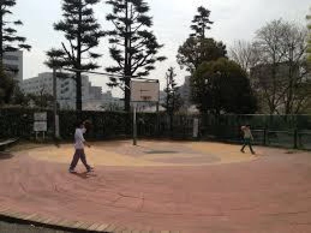 Profile of the basketball court Nakameguro Park, Meguro-ku, Japan