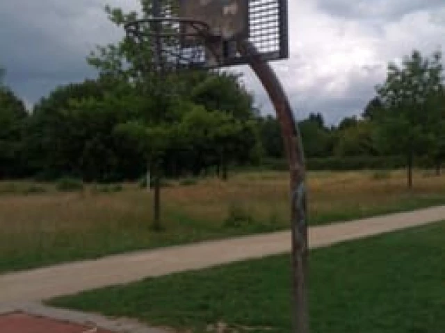 Profile of the basketball court Sinaipark, Frankfurt am Main, Germany
