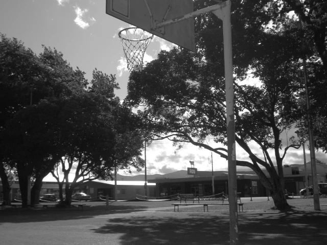 Profile of the basketball court Carrington Park, Carterton, New Zealand