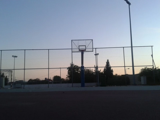 S. Basket