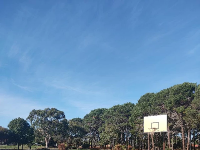 Profile of the basketball court Robert Smith Park, Winthrop, Australia