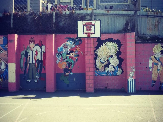 Profile of the basketball court Lyall Bay School, Wellington, New Zealand