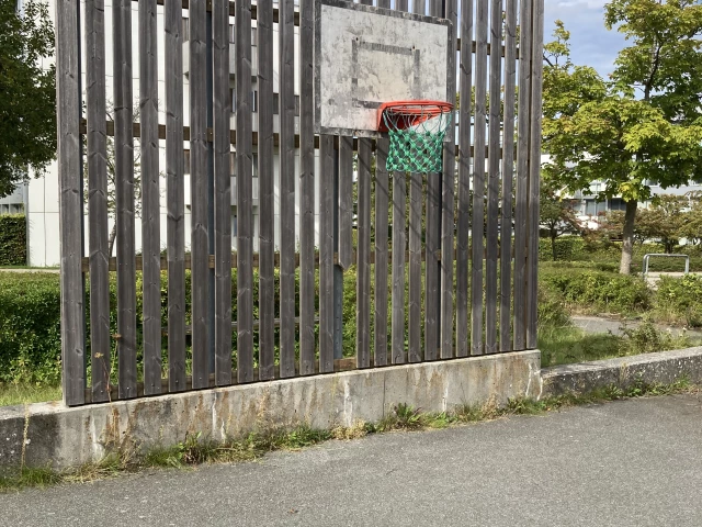 Profile of the basketball court Rosenhøj, Viby, Denmark