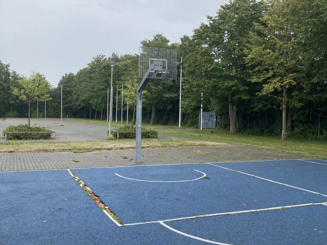 Profile of the basketball court Vejlby-Risskov Street Court, Risskov, Denmark